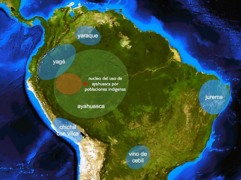 La Ayahuasca — una misteriosa combinación de dos plantas