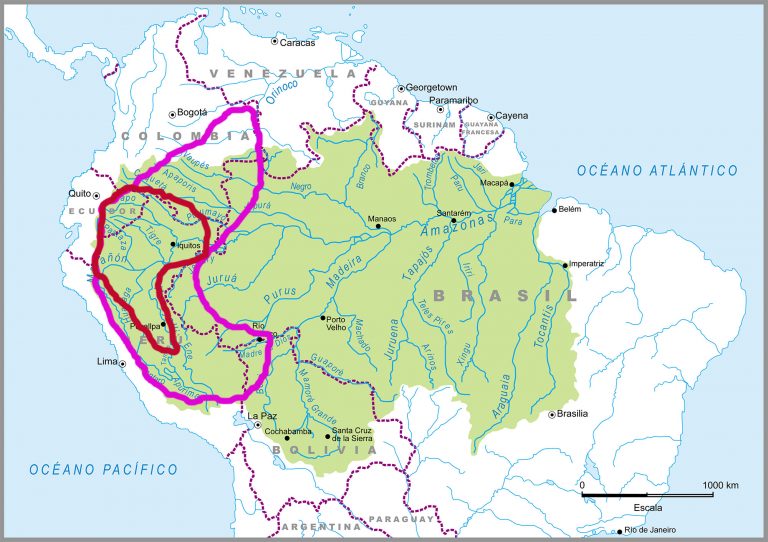 La Ayahuasca — una misteriosa combinación de dos plantas